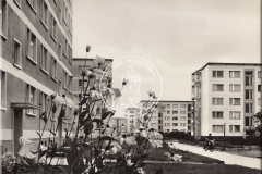 050-00_Ak_1945-1990_JS