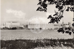 294-01_Ak_1945-1990_DS