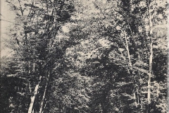 1874-00_AK_vor_1945_EB