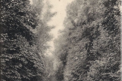1904-00_AK_vor_1945_EB