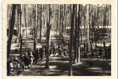 Album Schwedt 1940
