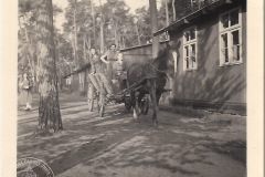 Album Schwedt 1940