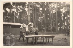 Album Schwedt 1940