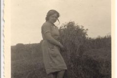 Album Schwedt 1940