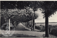 0005-00_AK_vor_1945_EB