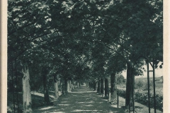 0007-00_AK_vor_1945_EB