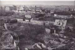 0133-00_DDR_DP