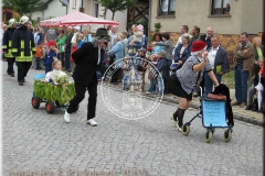 019-00_TFV_2008_KR